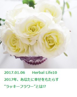 NOEVIR BOTANICAL LIFE ～TOKYO FM「クロノス」～